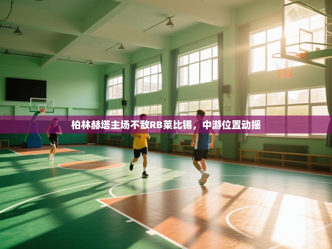 柏林赫塔主场不敌RB莱比锡,中游位置动摇 第2张