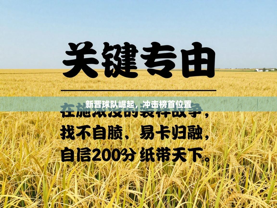 新晋球队崛起,冲击榜首位置 第1张