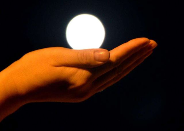 谁能赢得最后胜利?掌上明珠尽现的简单介绍 谁能赢得最后胜利?掌上明珠尽现的简单介绍